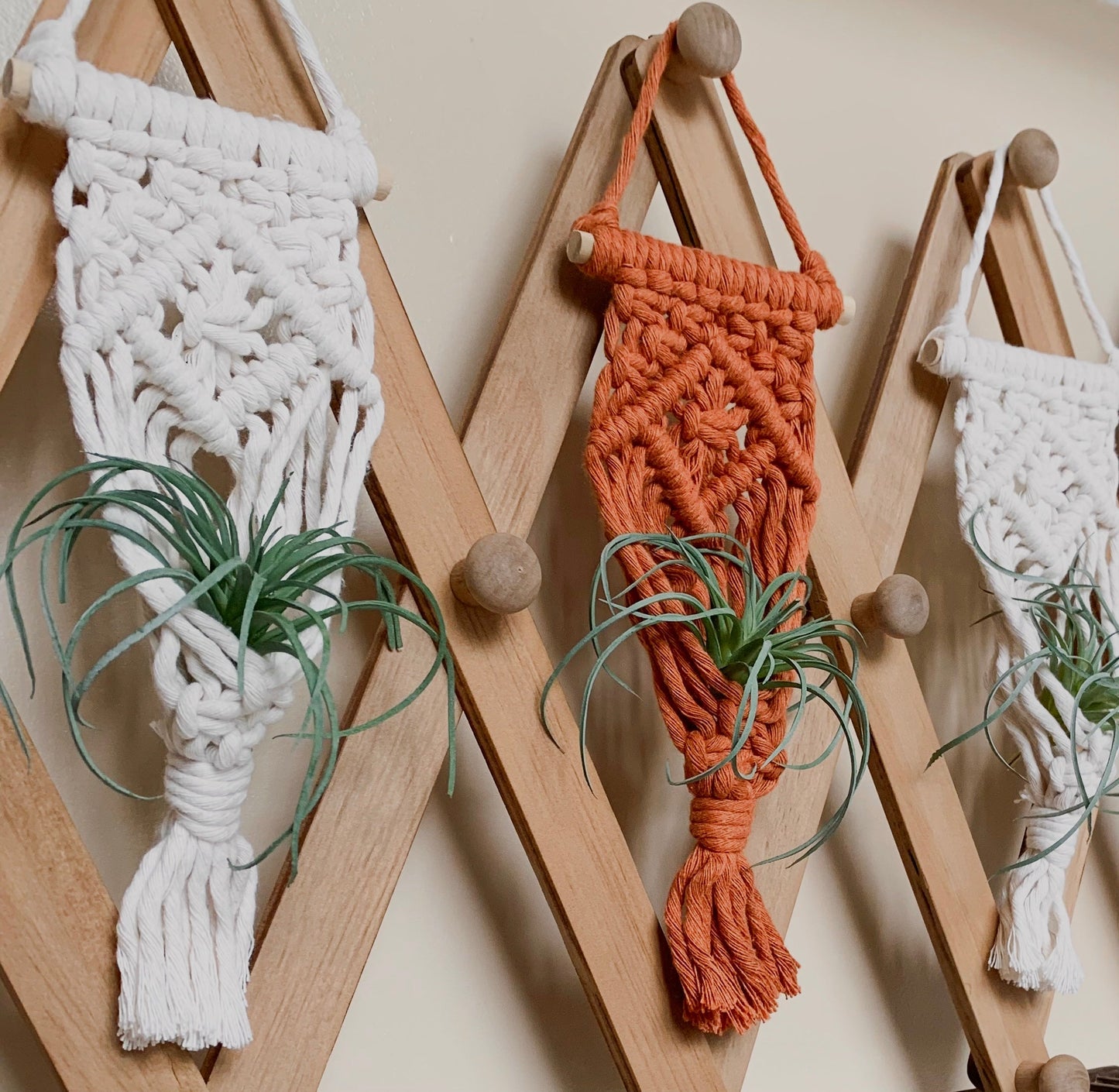 Air Plant Hanger